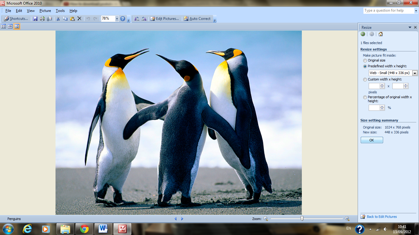 Формат bmp в jpg. Файлы с расширением bmp. Рисунки в формате Windows. Bmp картинки пример.